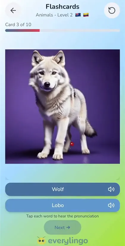 Flashcards game screen